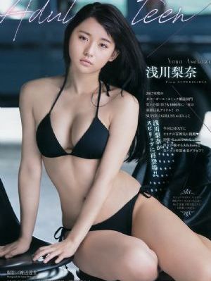 金装维尔梅